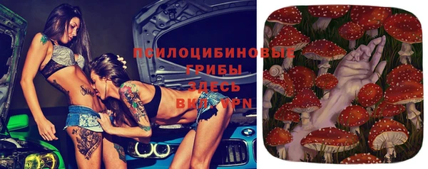 наркотики Белокуриха