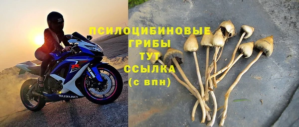 наркотики Белокуриха