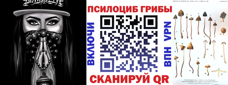 Галлюциногенные грибы Cubensis  Полесск 